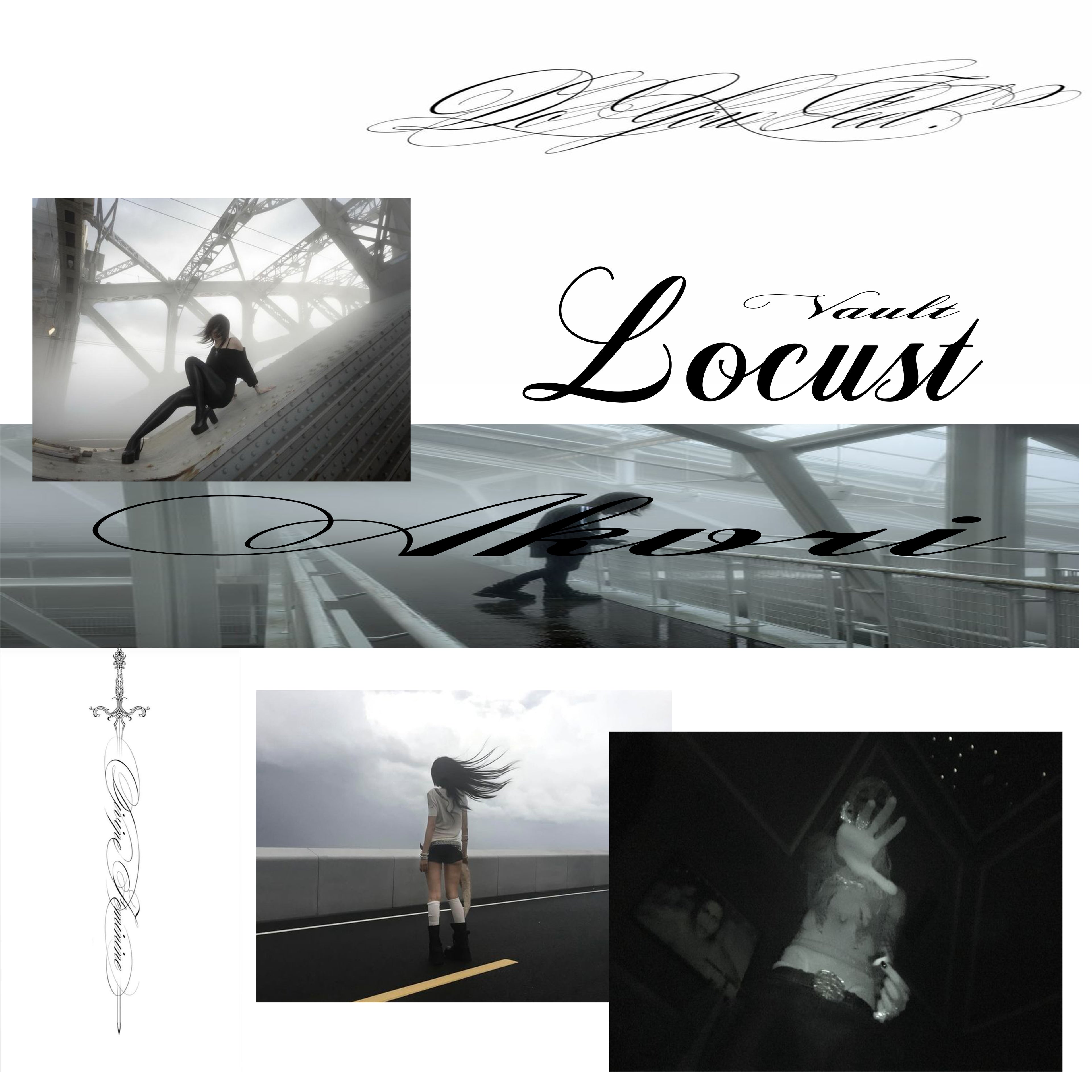 AKVRI LOCUST VAULT KIT